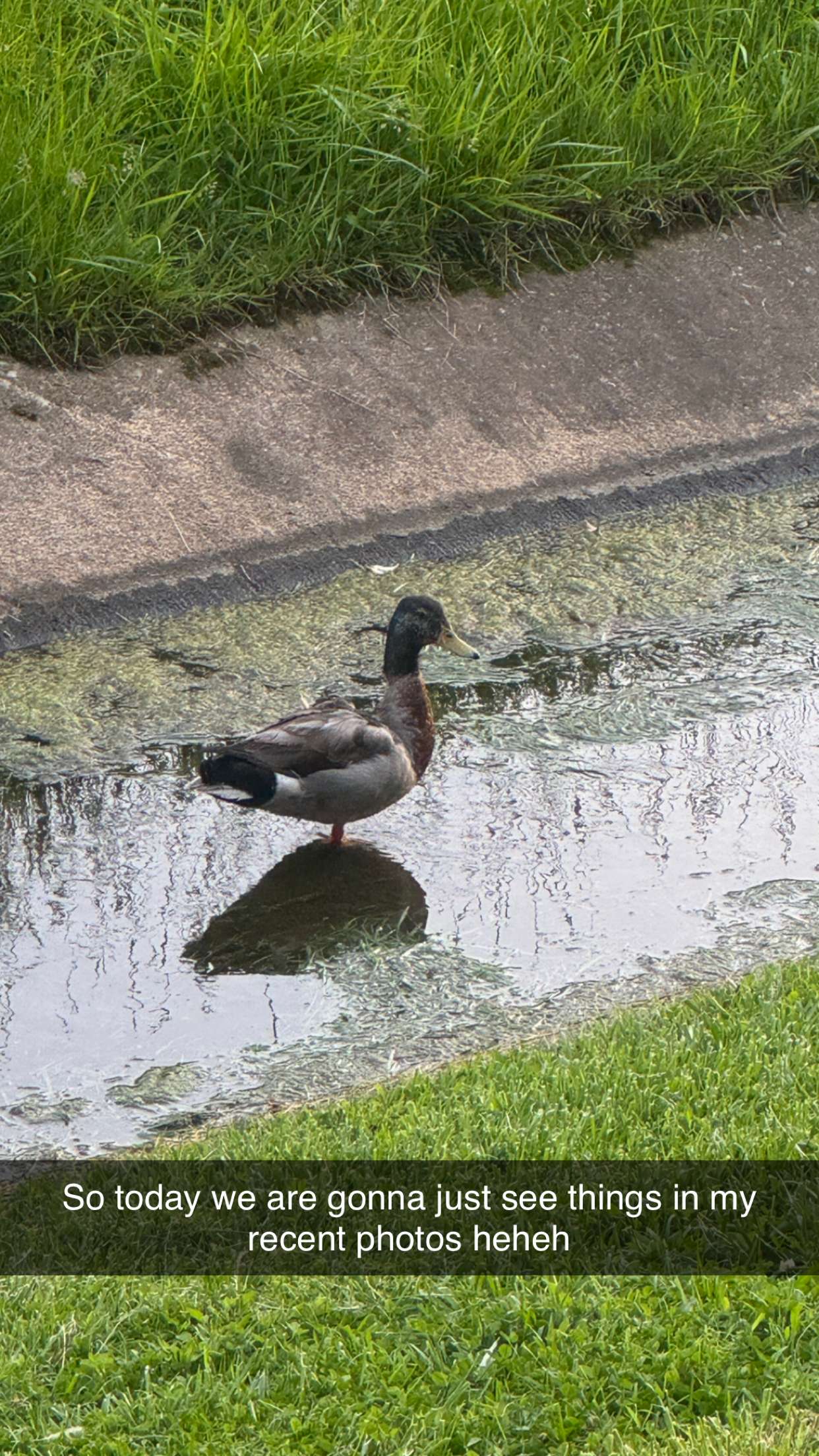 alexaadams30 snapchat image archive image