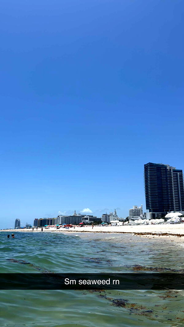 alexaadams30 image ~ Altpins