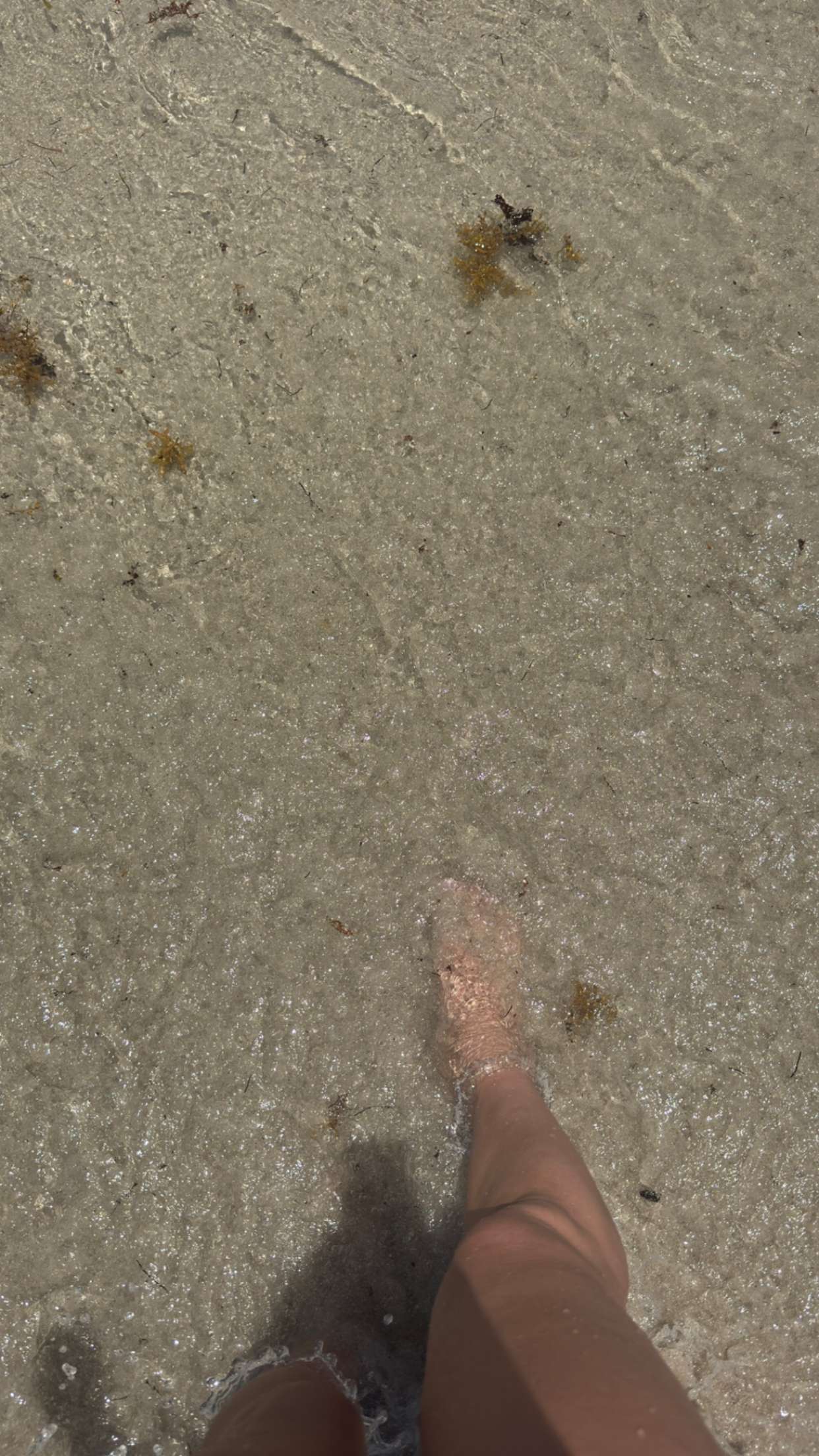 alexaadams30 snapchat image archive image