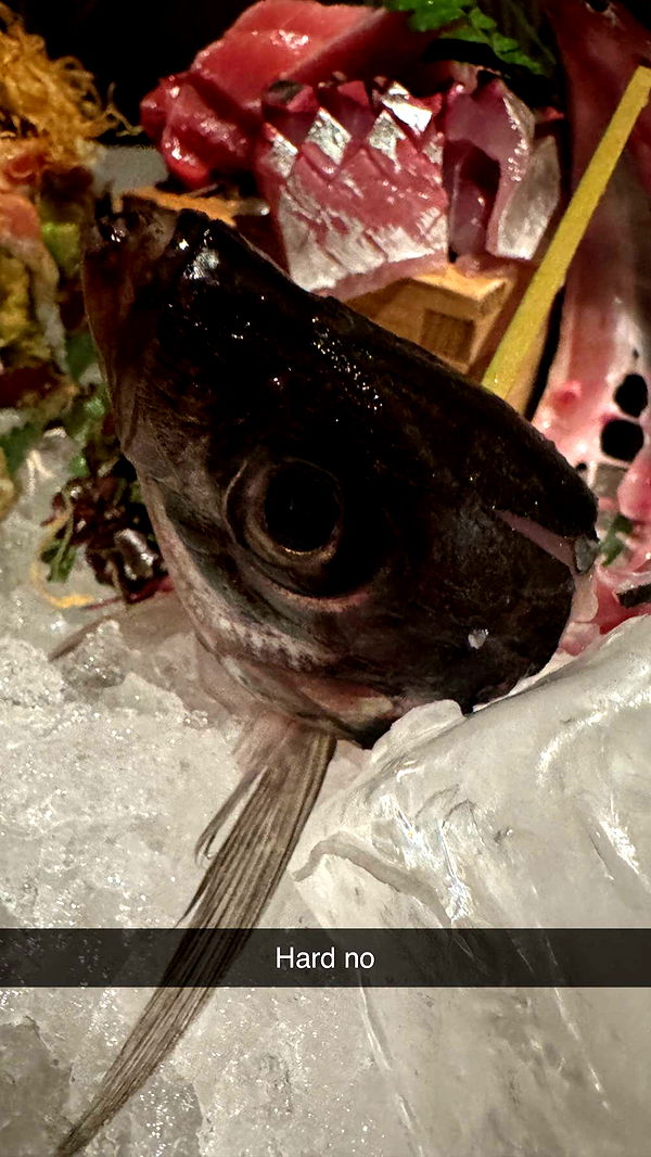 alexaadams30 image ~ Altpins