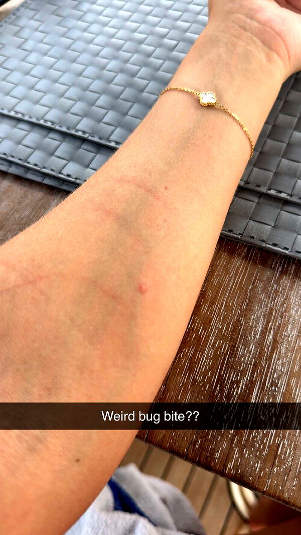 alexaadams30 image ~ Altpins