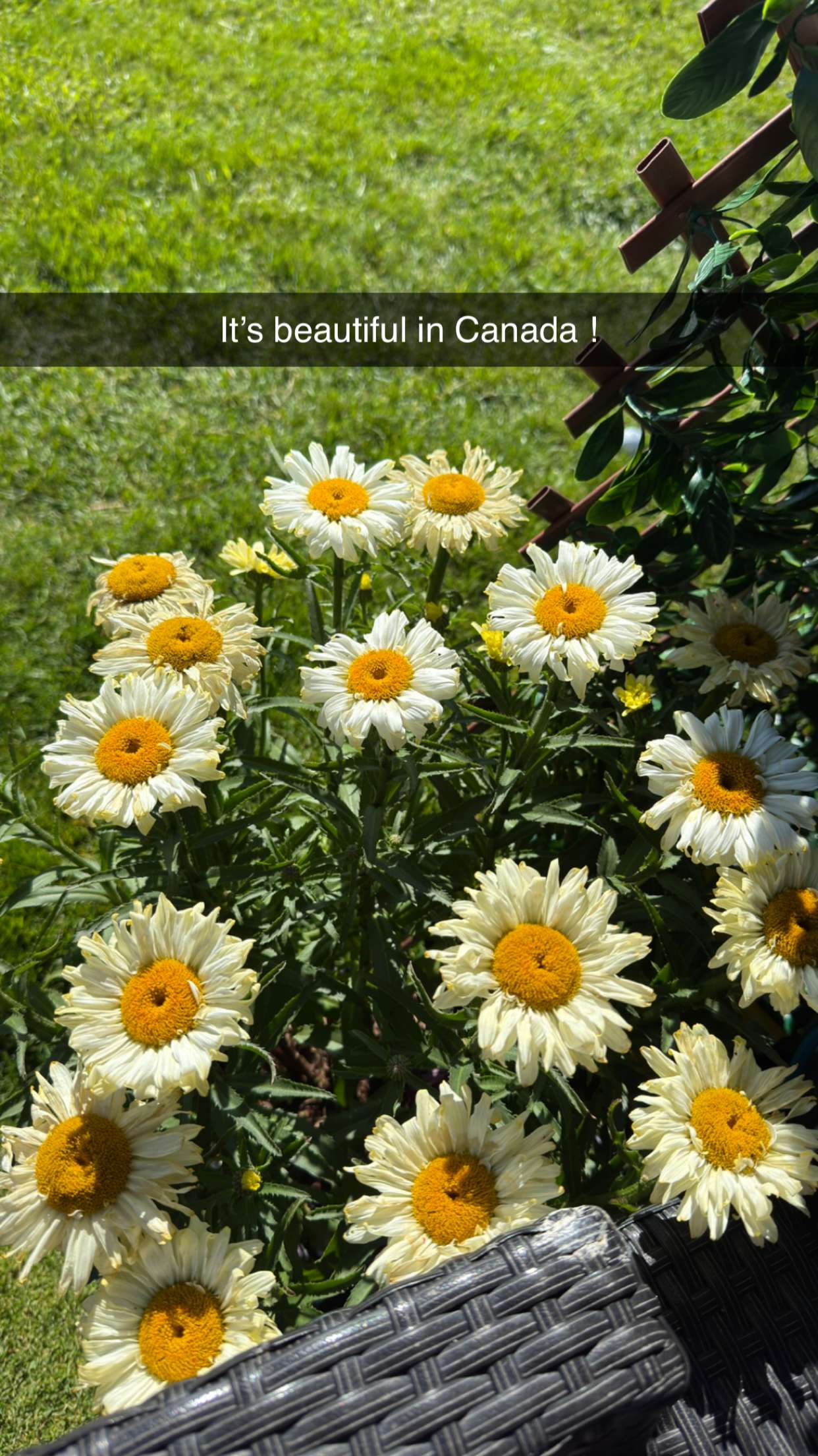 alexaadams30 snapchat image archive image