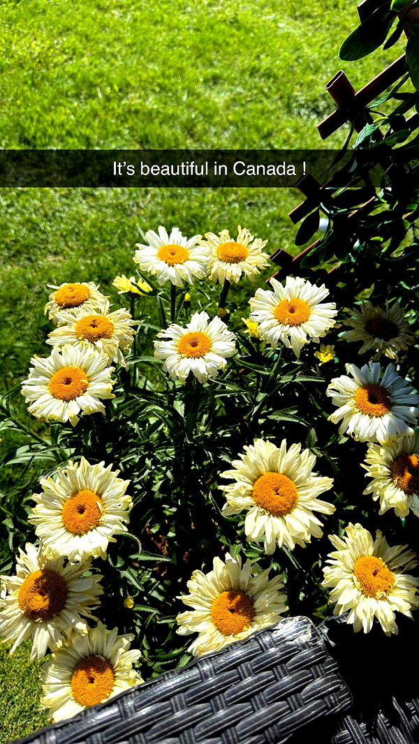 alexaadams30 image ~ Altpins