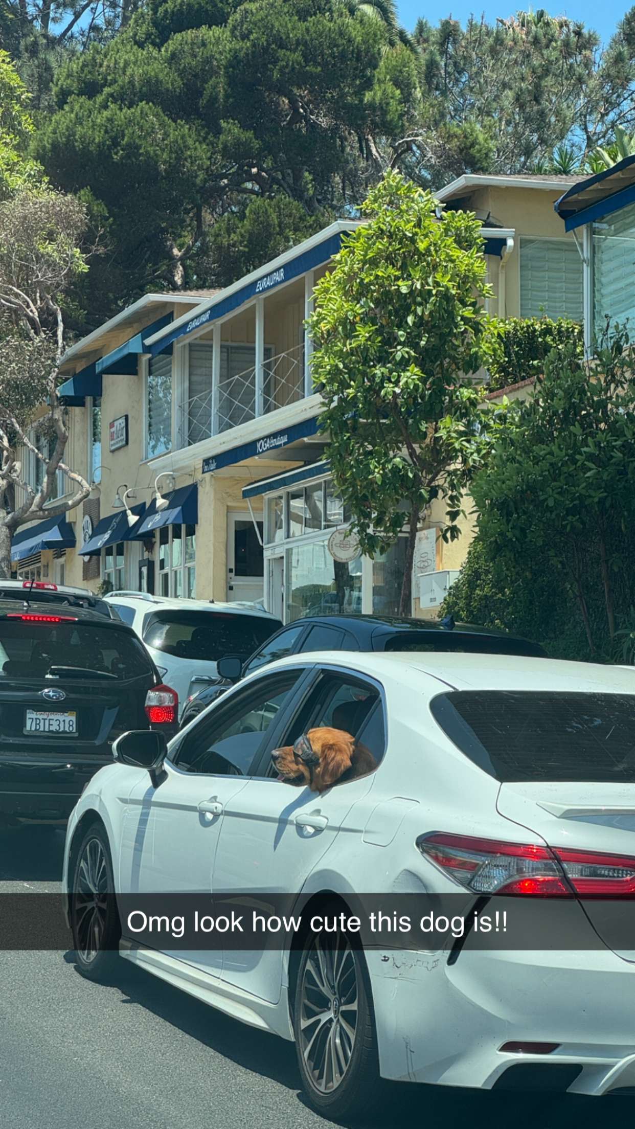 alexaadams30 snapchat image archive image