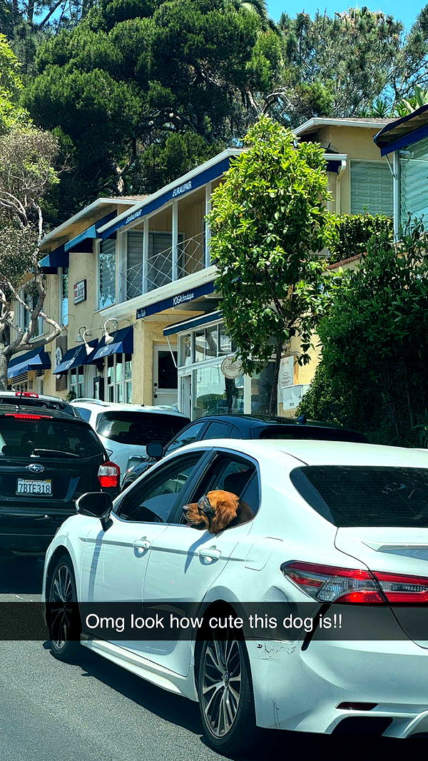 alexaadams30 image ~ Altpins