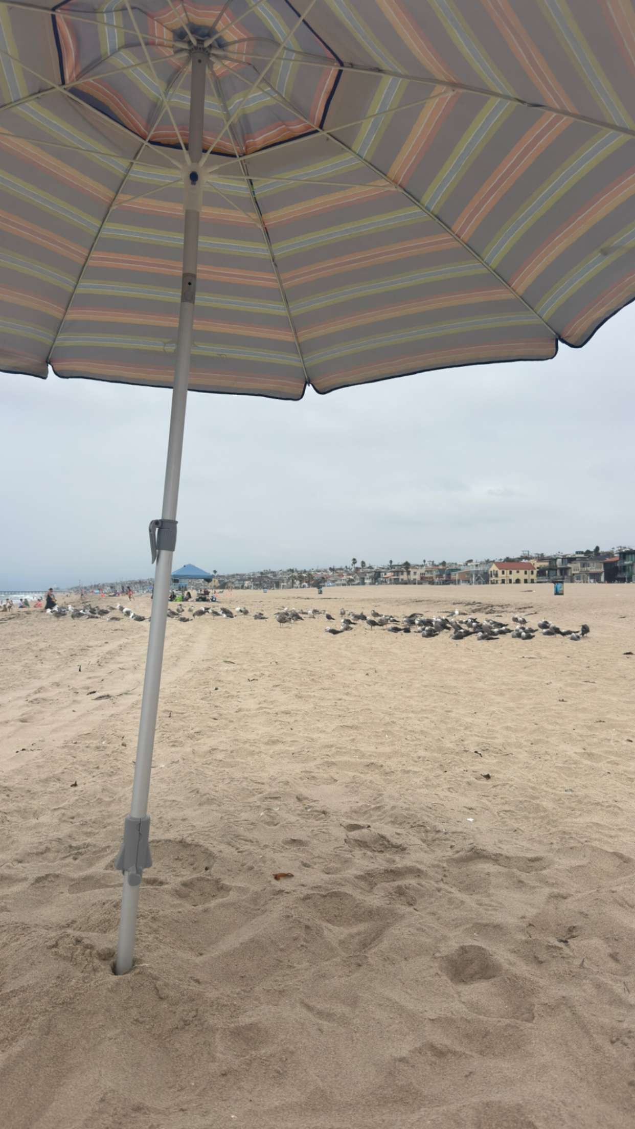 alexaadams30 snapchat image archive image