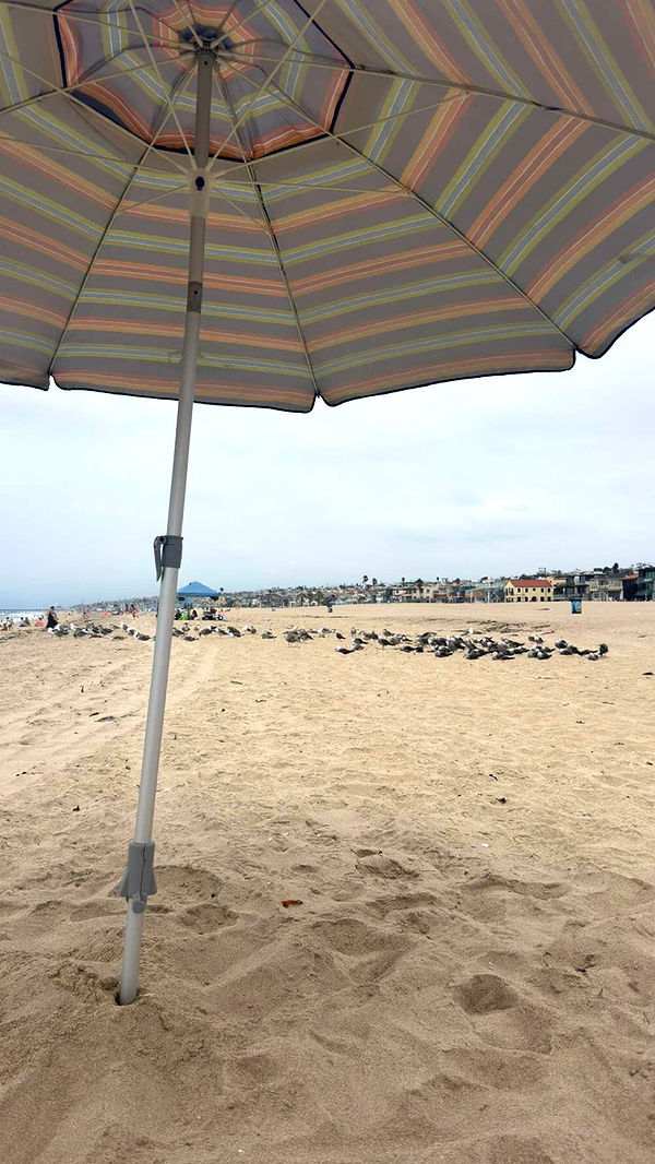 alexaadams30 image ~ Altpins