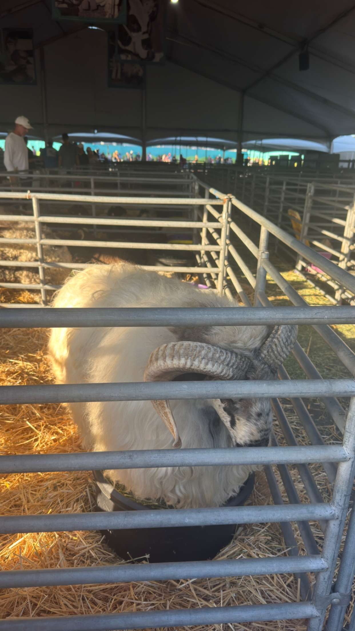 alexaadams30 snapchat image archive image