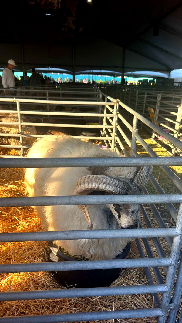 alexaadams30 image ~ Altpins