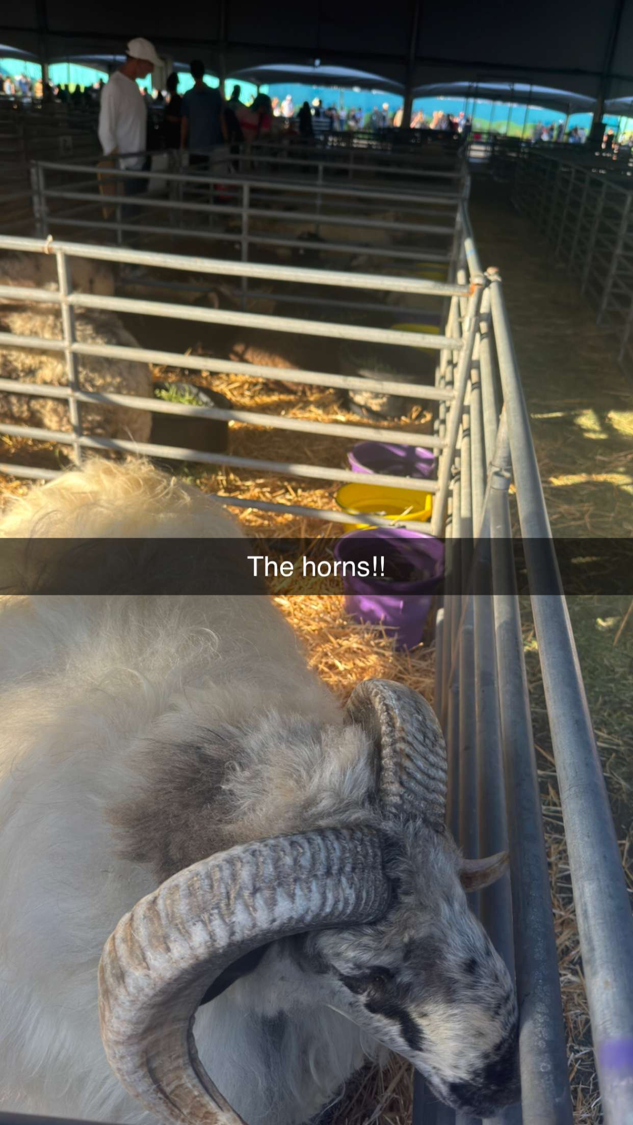 alexaadams30 snapchat image archive image