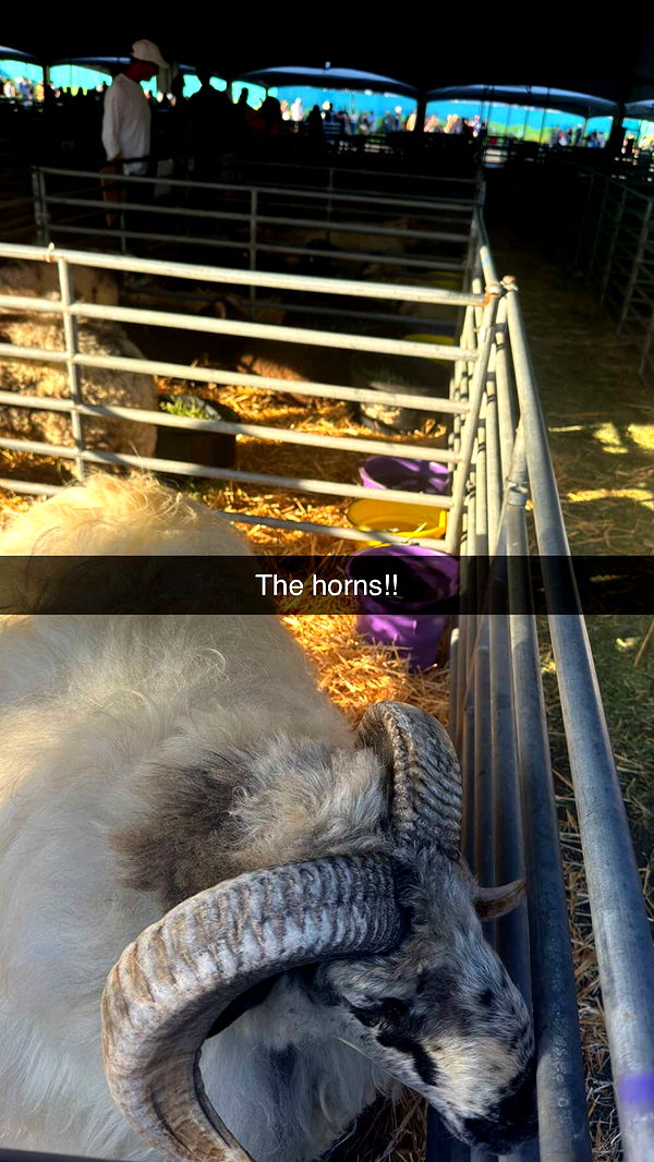 alexaadams30 image ~ Altpins