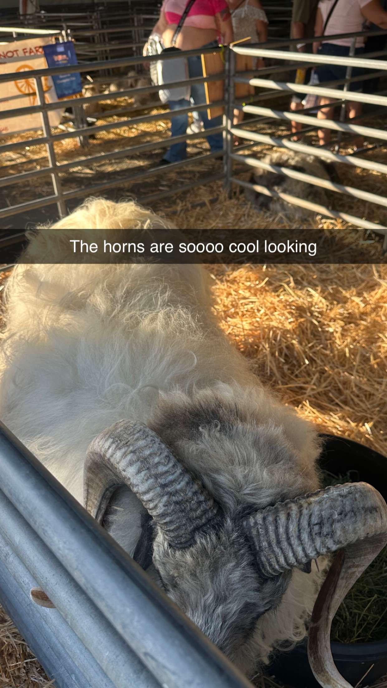 alexaadams30 snapchat image archive image