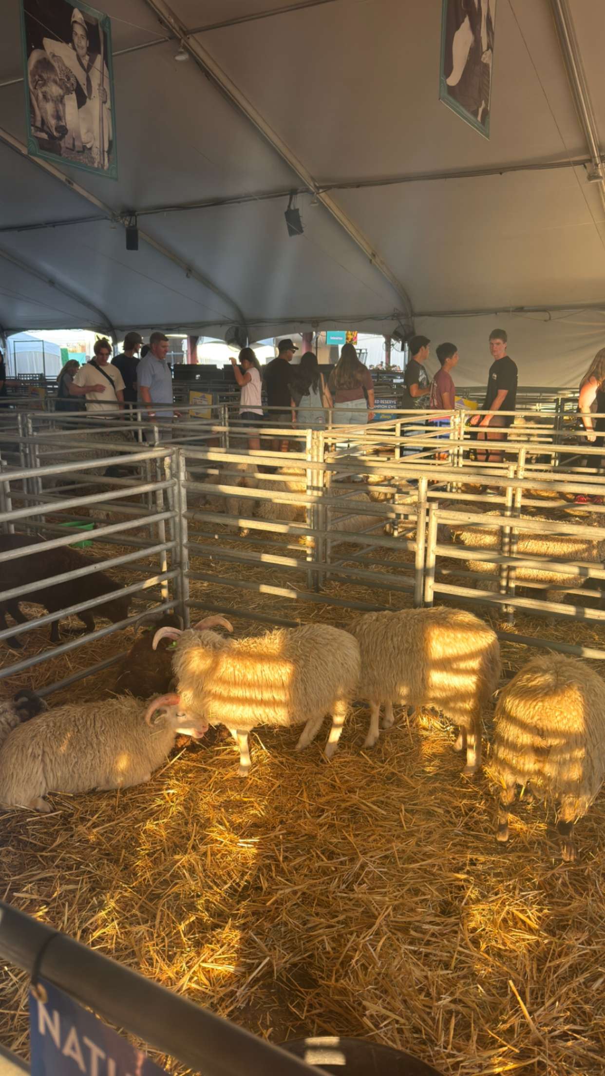 alexaadams30 snapchat image archive image