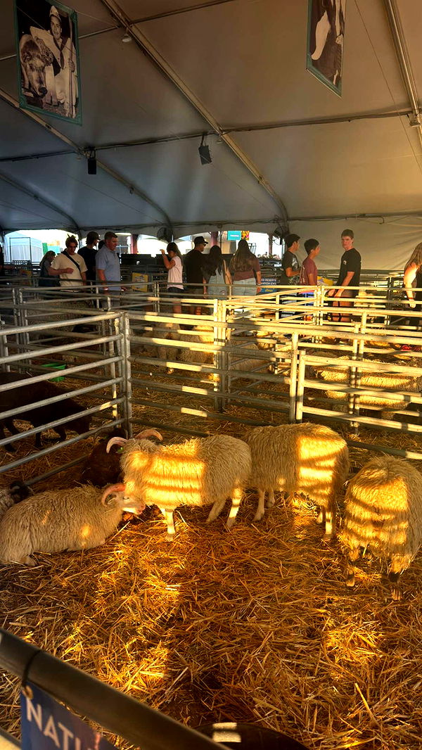 alexaadams30 image ~ Altpins