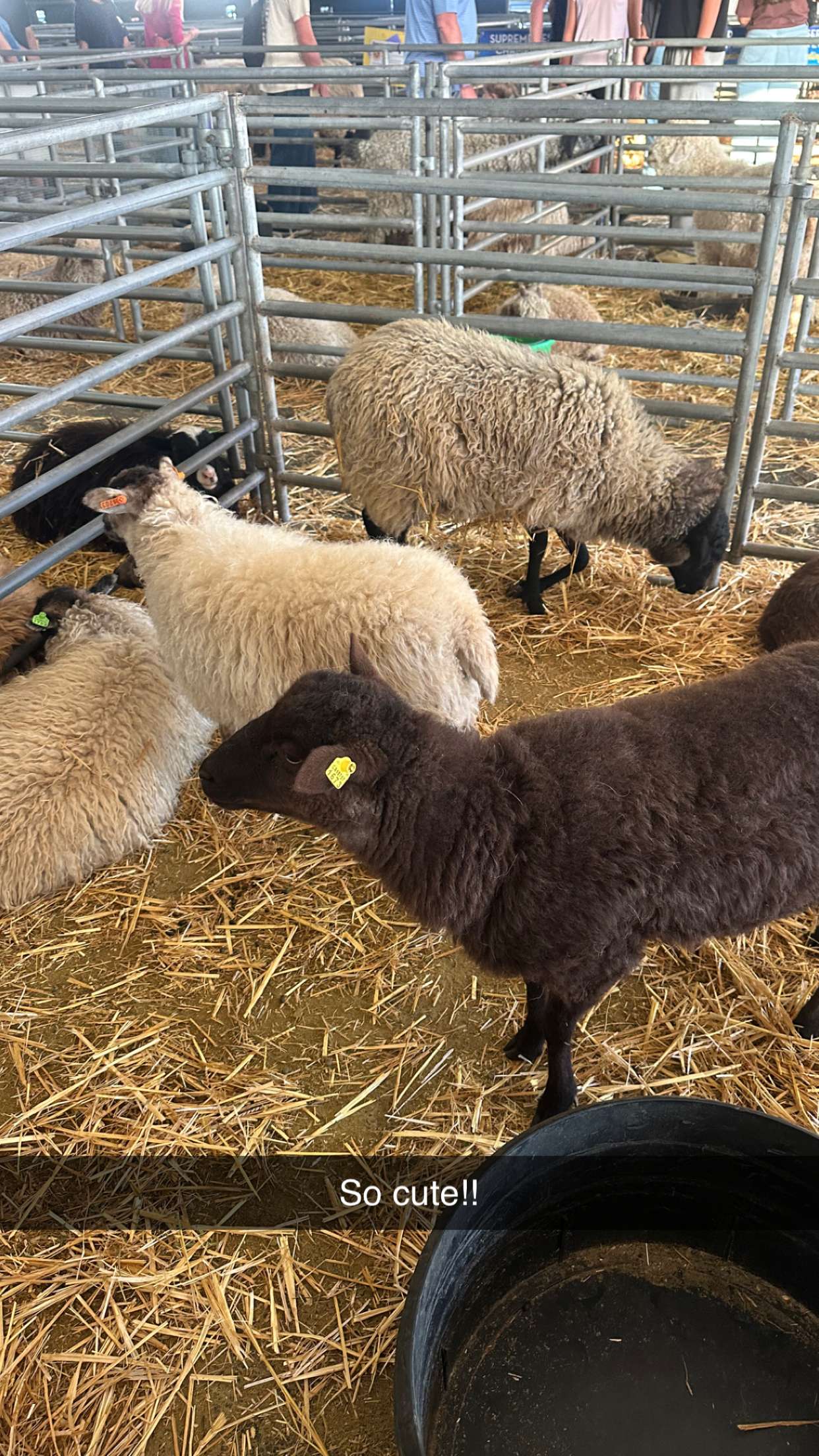 alexaadams30 snapchat image archive image