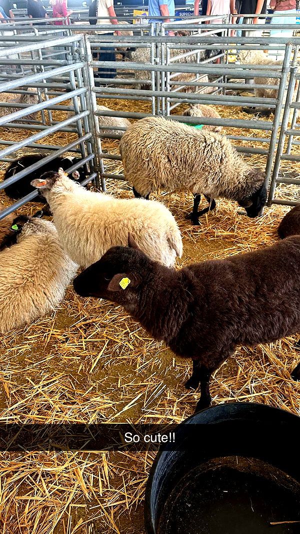 alexaadams30 image ~ Altpins