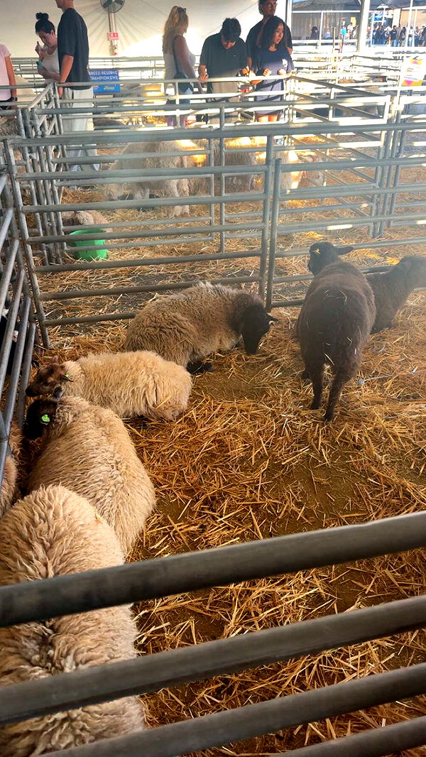 alexaadams30 image ~ Altpins