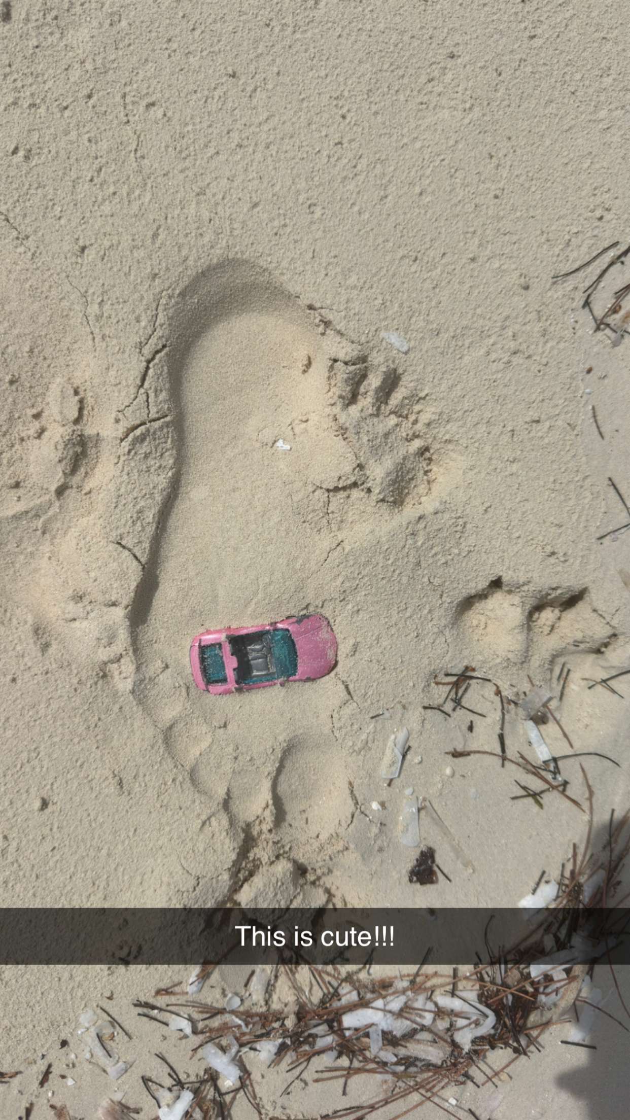 alexaadams30 snapchat image archive image