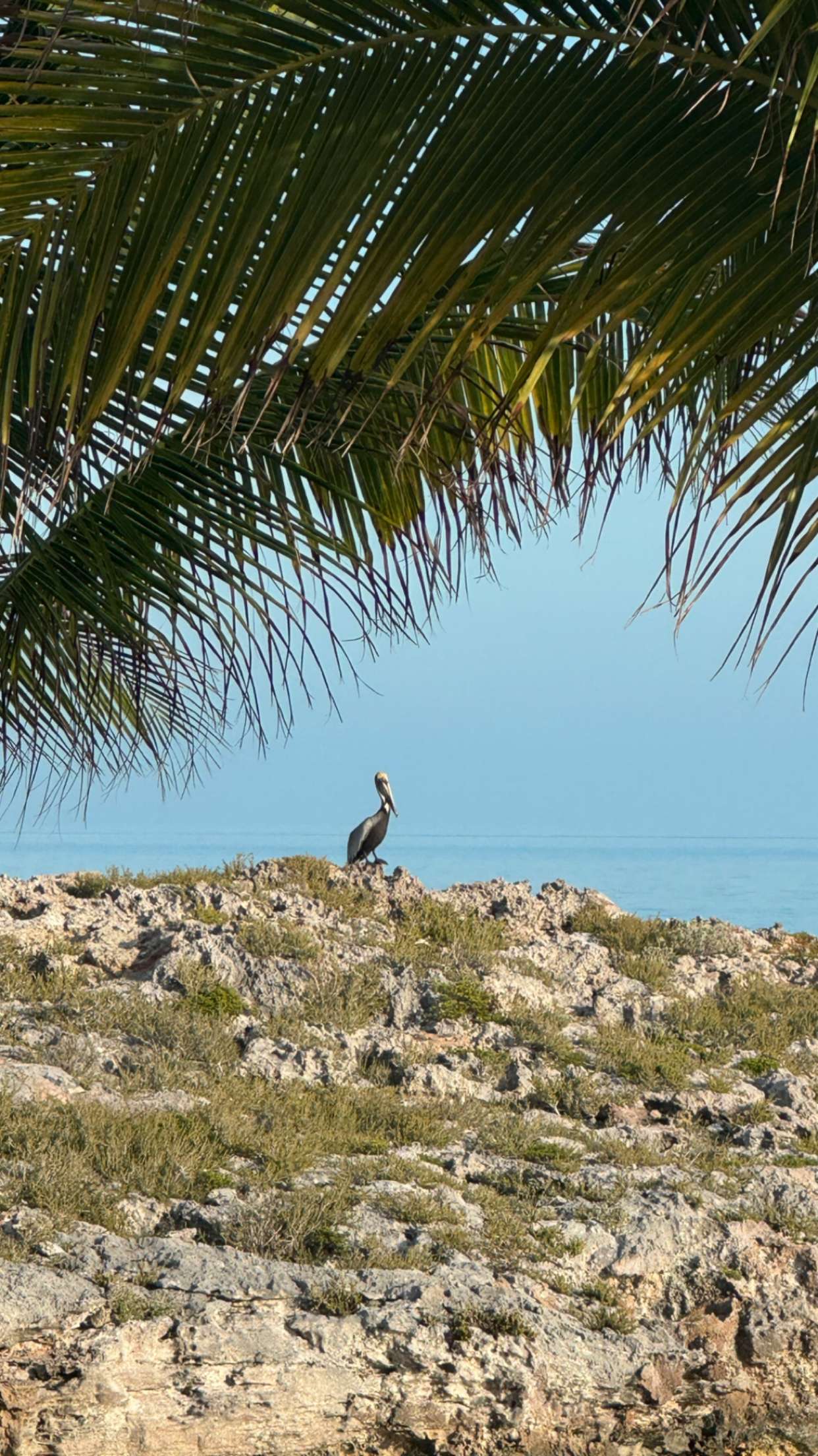 alexaadams30 snapchat image archive image