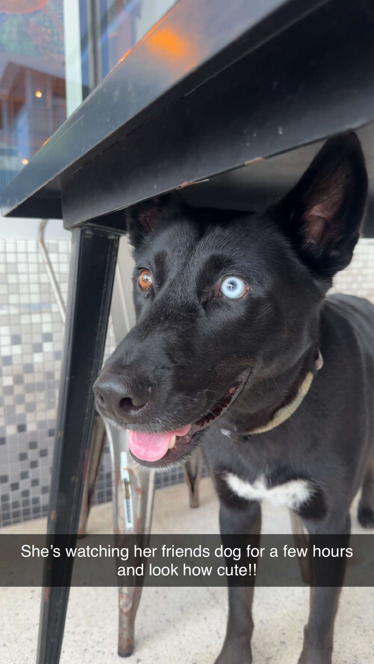 alexaadams30 snapchat image archive image