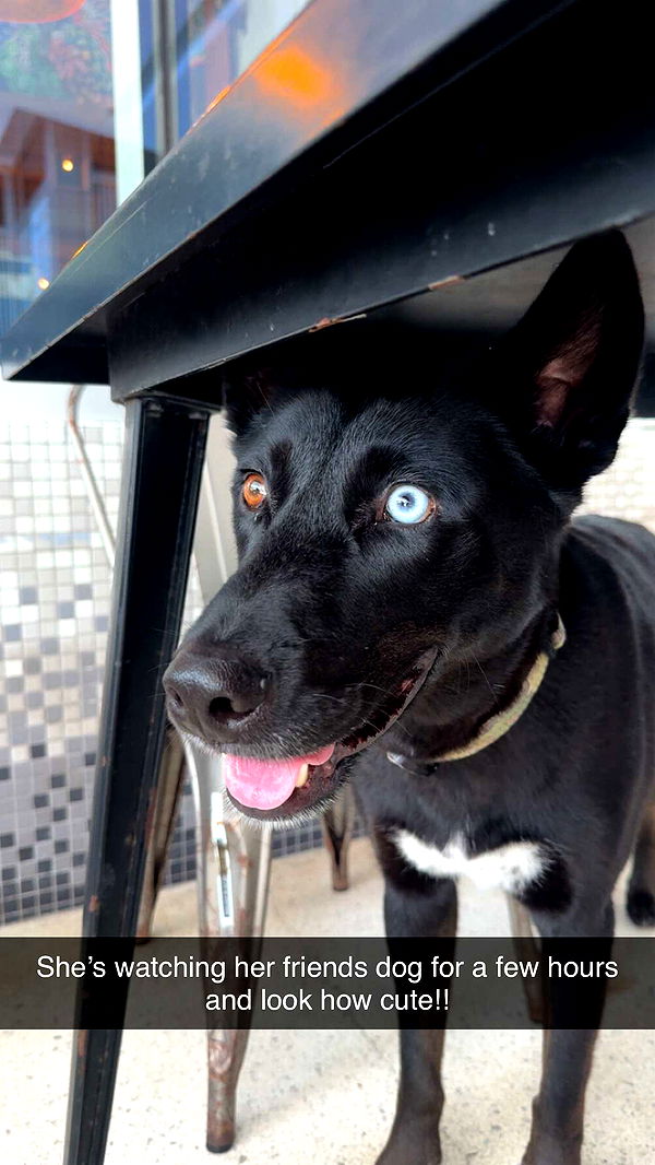 alexaadams30 image ~ Altpins