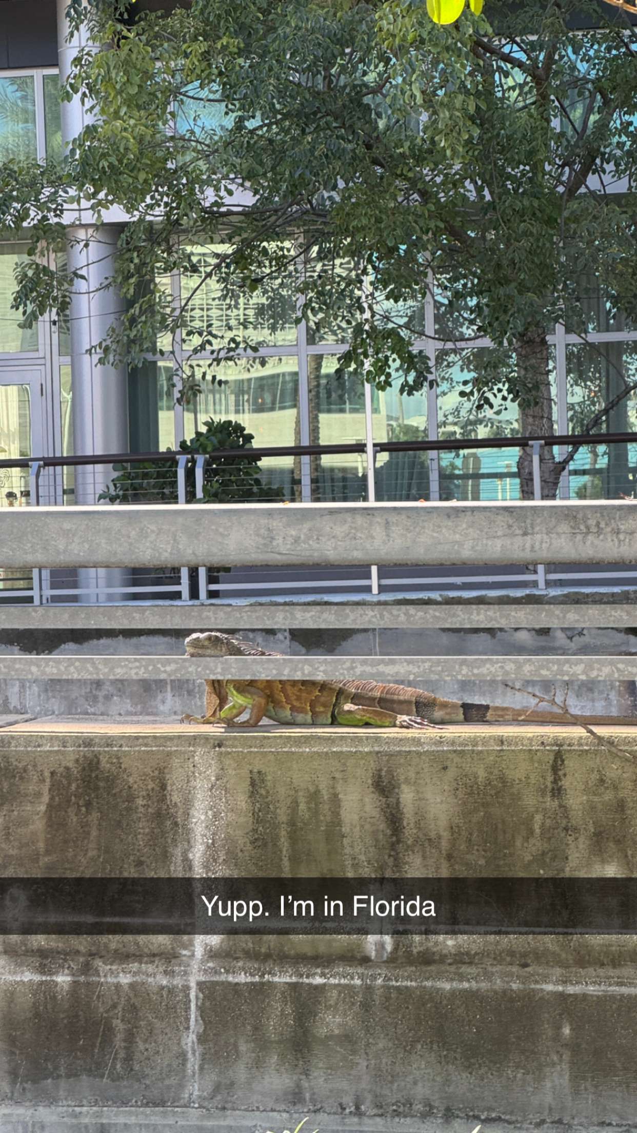 alexaadams30 snapchat image archive image