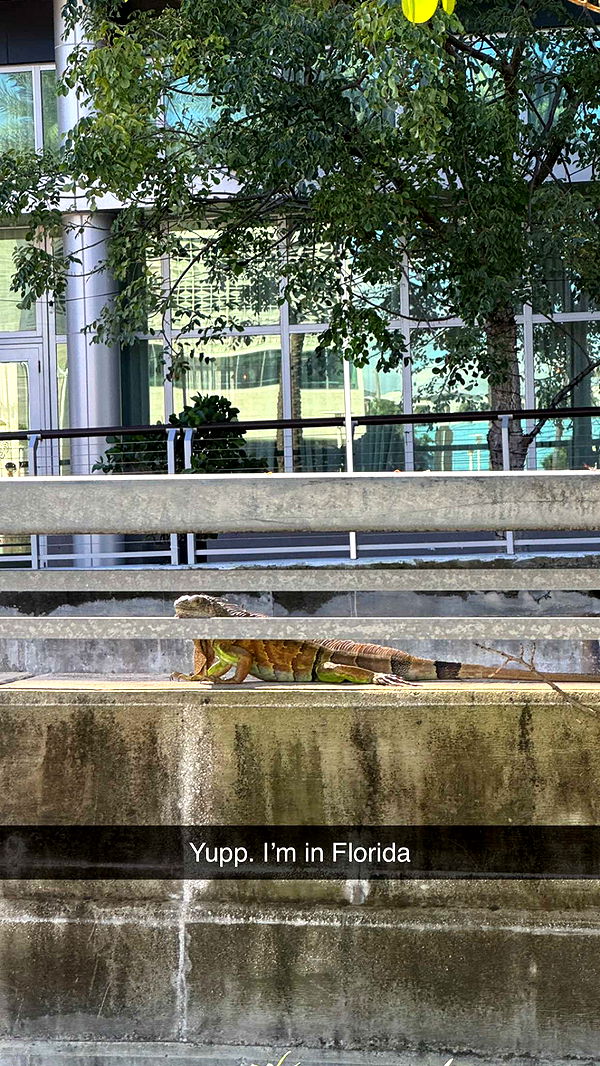 alexaadams30 image ~ Altpins