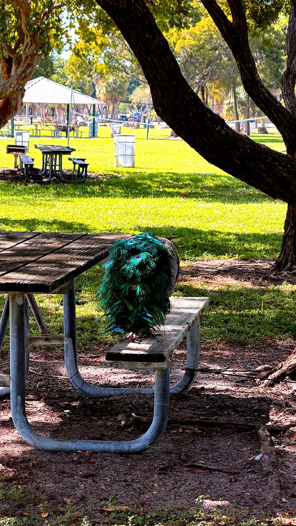 alexaadams30 image ~ Altpins