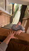 aleximarianna Altpins Profile Picture
