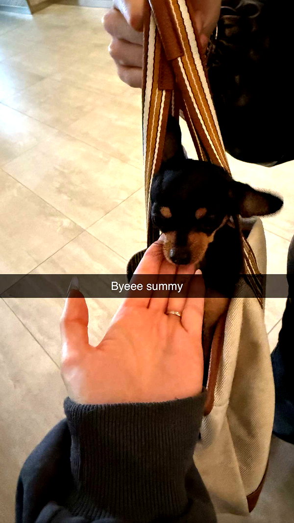 aleximarianna snapchat image archive image