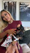aleximarianna Altpins Profile Picture