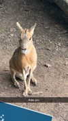 aleximarianna Altpins Profile Picture