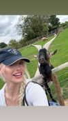 aleximarianna Altpins Profile Picture