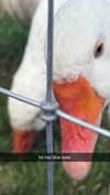 aleximarianna Altpins Profile Picture
