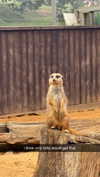 aleximarianna Altpins Profile Picture