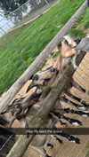 aleximarianna Altpins Profile Picture