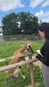 aleximarianna Altpins Profile Picture