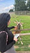 aleximarianna Altpins Profile Picture