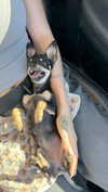 aleximarianna Altpins Profile Picture