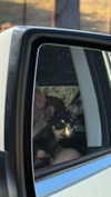 aleximarianna Altpins Profile Picture