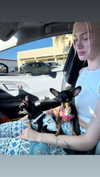 aleximarianna Altpins Profile Picture