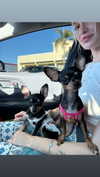 aleximarianna Altpins Profile Picture