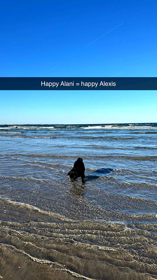 alexissshv snapchat image archive image