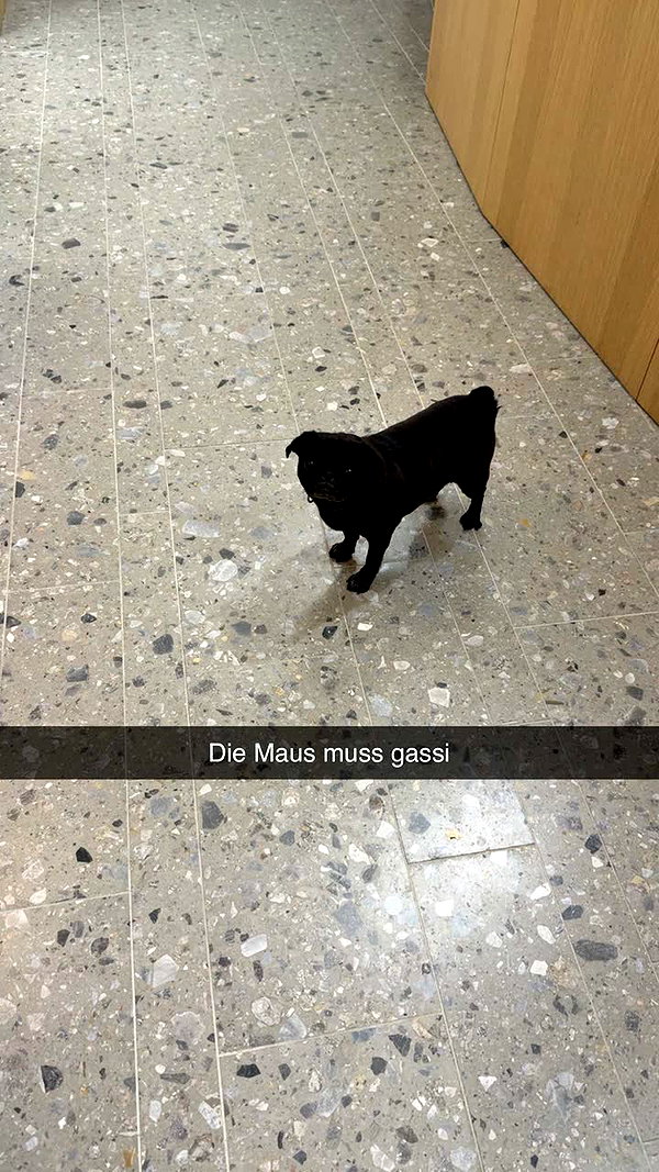 alexissshv snapchat image archive image