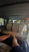 alexissshv Altpins Profile Picture