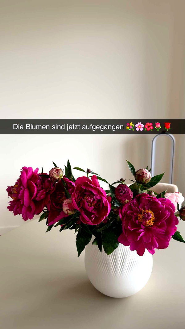 alexissshv snapchat image archive image