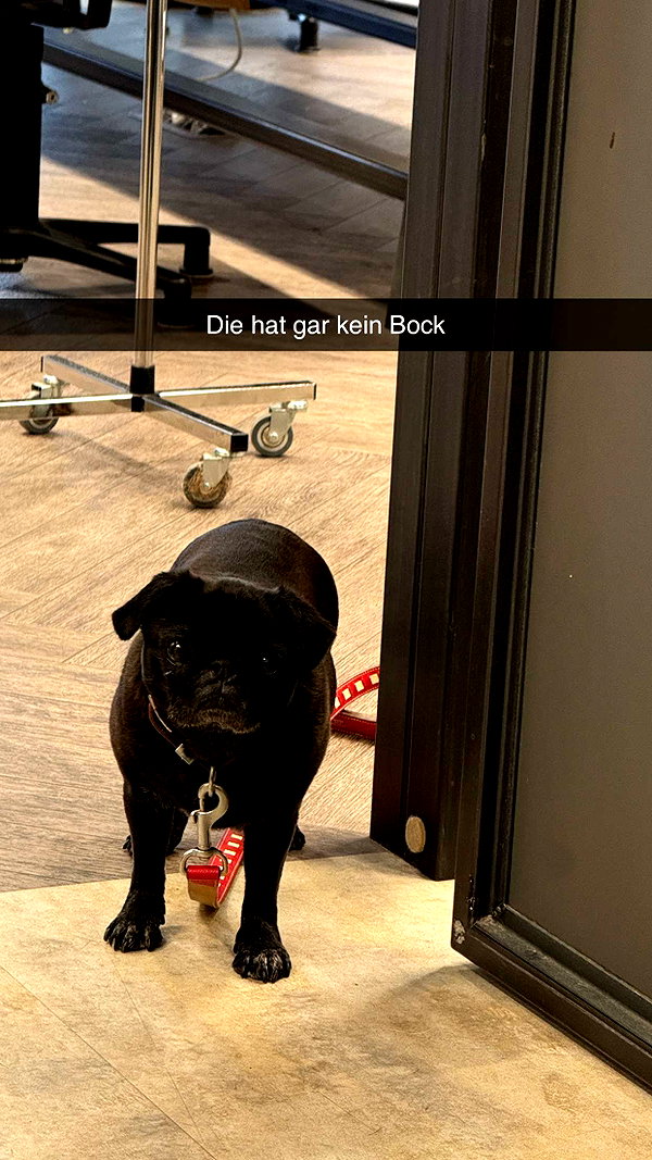 alexissshv snapchat image archive image