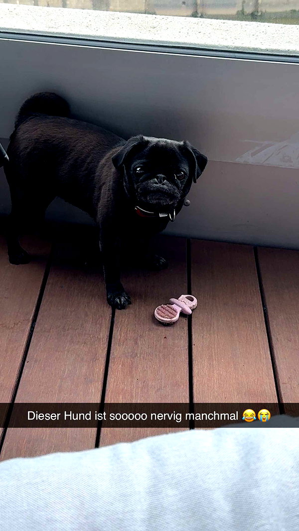 alexissshv snapchat image archive image
