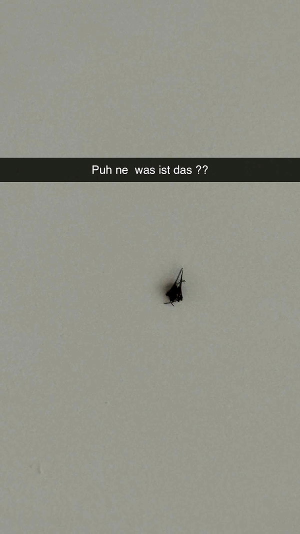 alexissshv snapchat image archive image