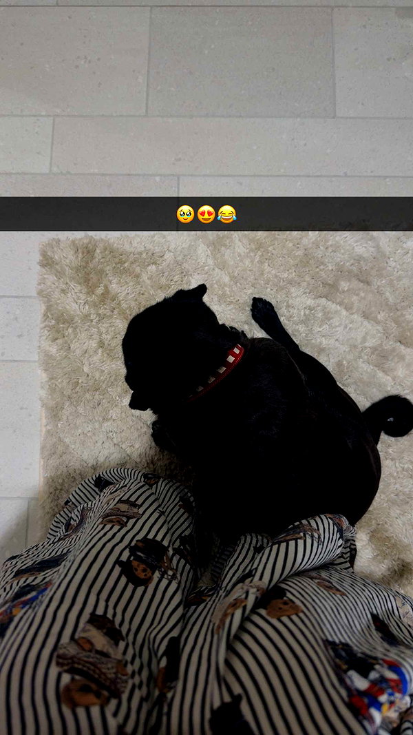 alexissshv snapchat image archive image